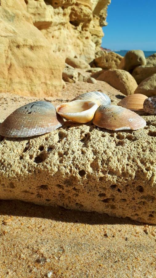 Olhos Do Mar Albufeira Apartment Ngoại thất bức ảnh
